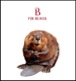 B as in Beaver